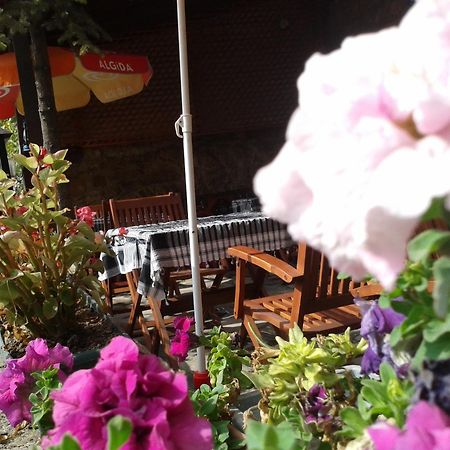 阿瑞贝口纳克酒店 萨夫兰博卢 外观 照片